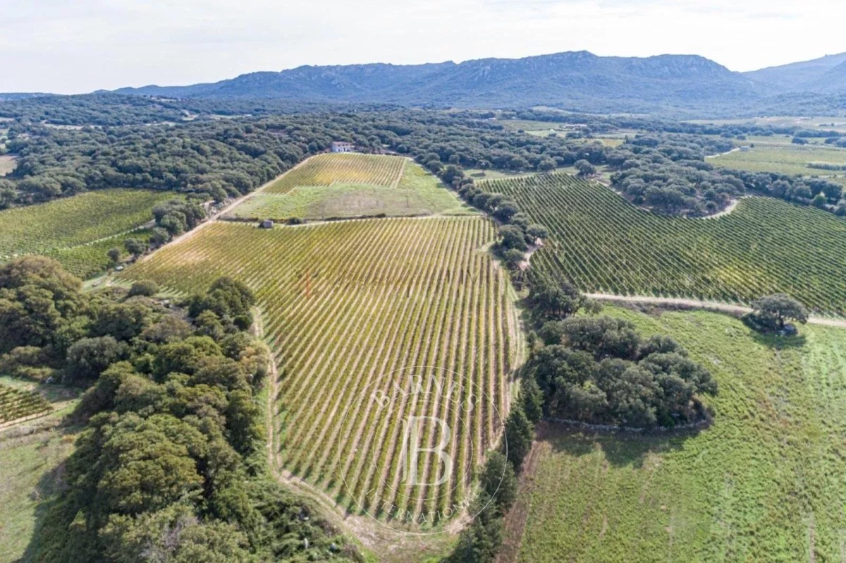 Vendita Villa | Monti - picture 3