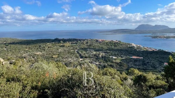 For Sale, Villa Olbia - picture 5