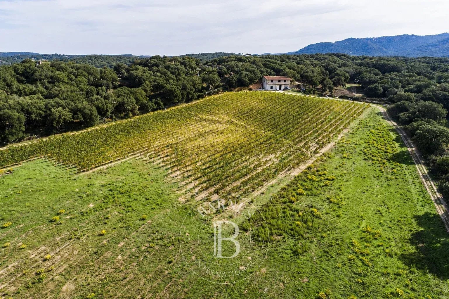 Villa Mia | Monti - picture 2
