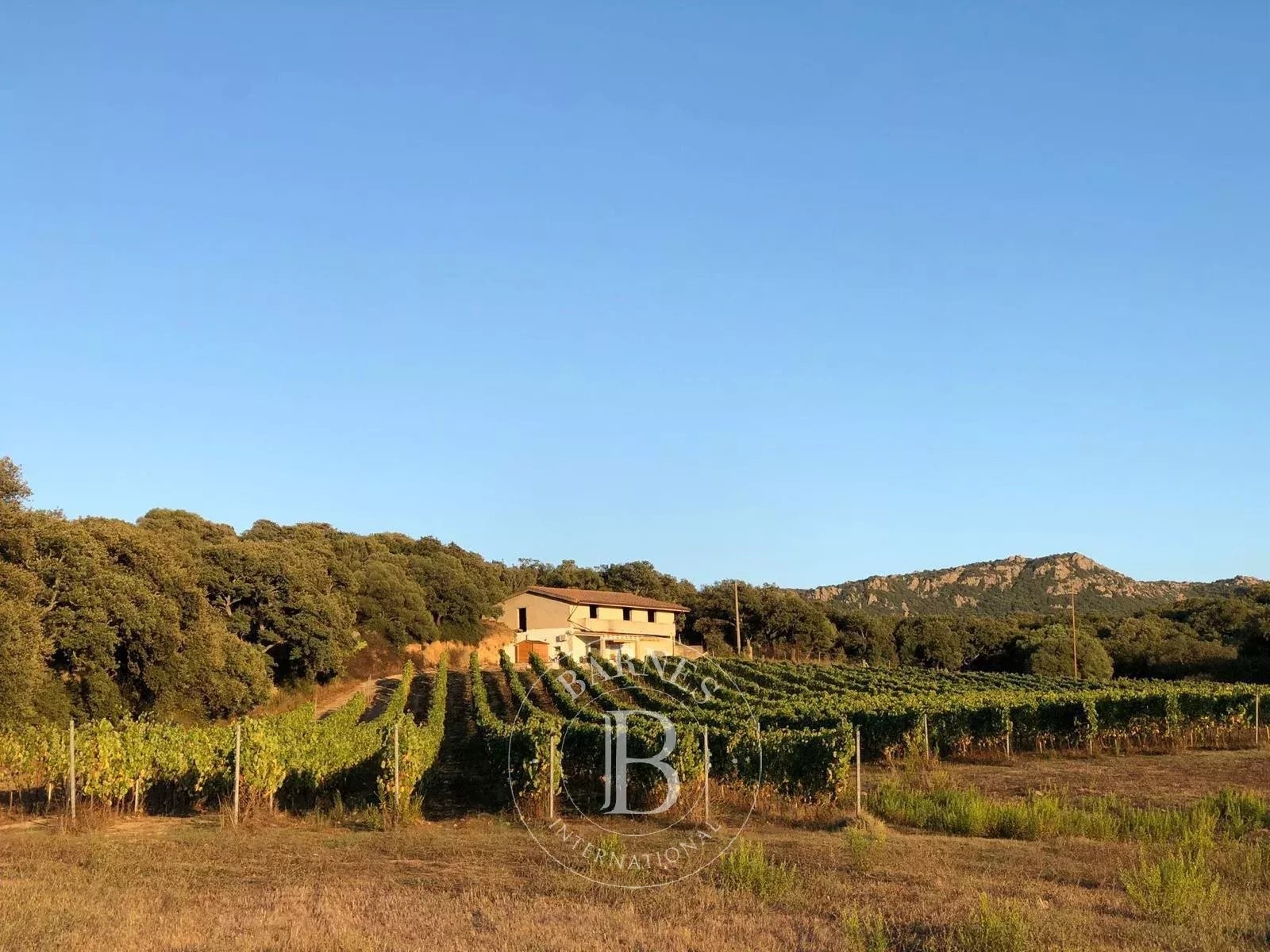 Villa Mia | Monti - picture 1